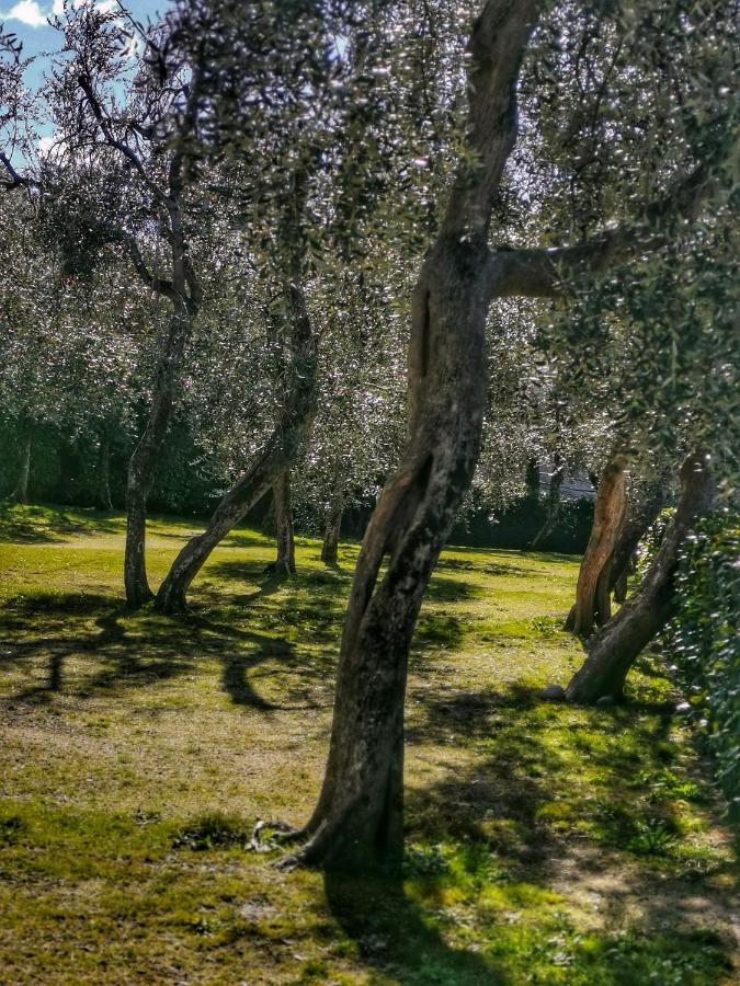 Camping Baldo Brenzone sul Garda Exterior photo